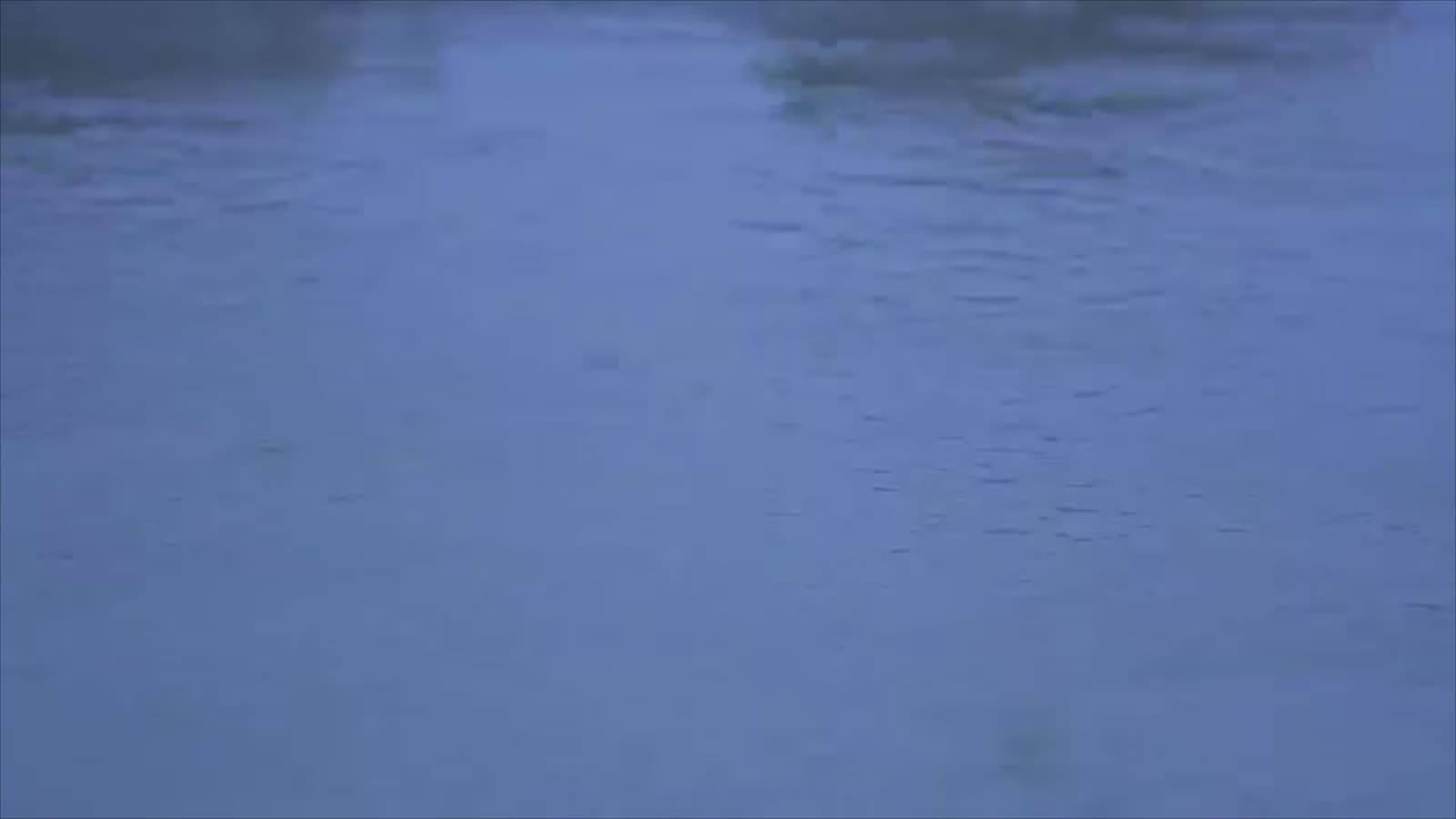 Portfolio film excerpt 24