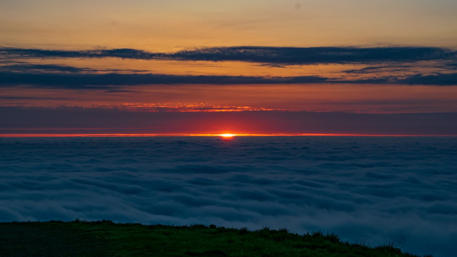 Portfolio photograph 23