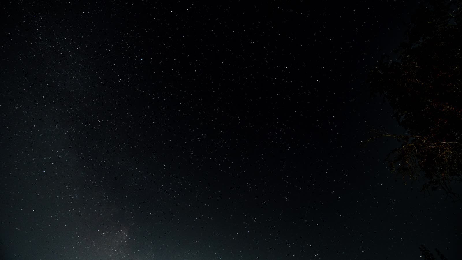 Portfolio film excerpt 21