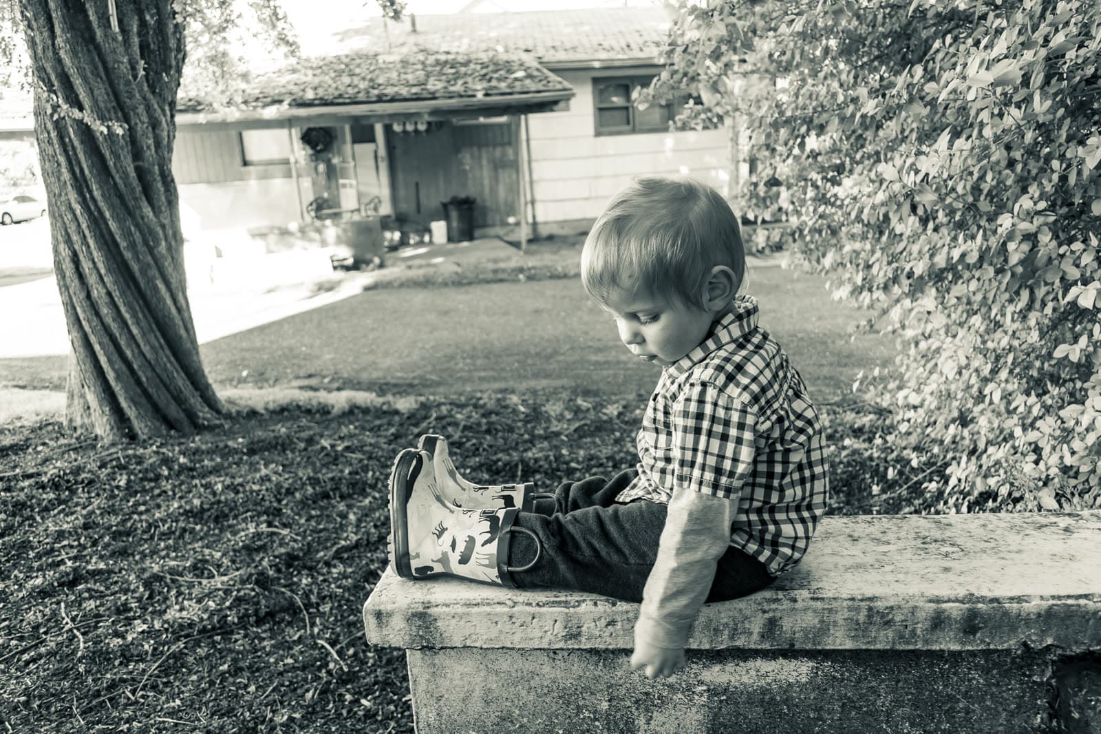 Portfolio photograph 42