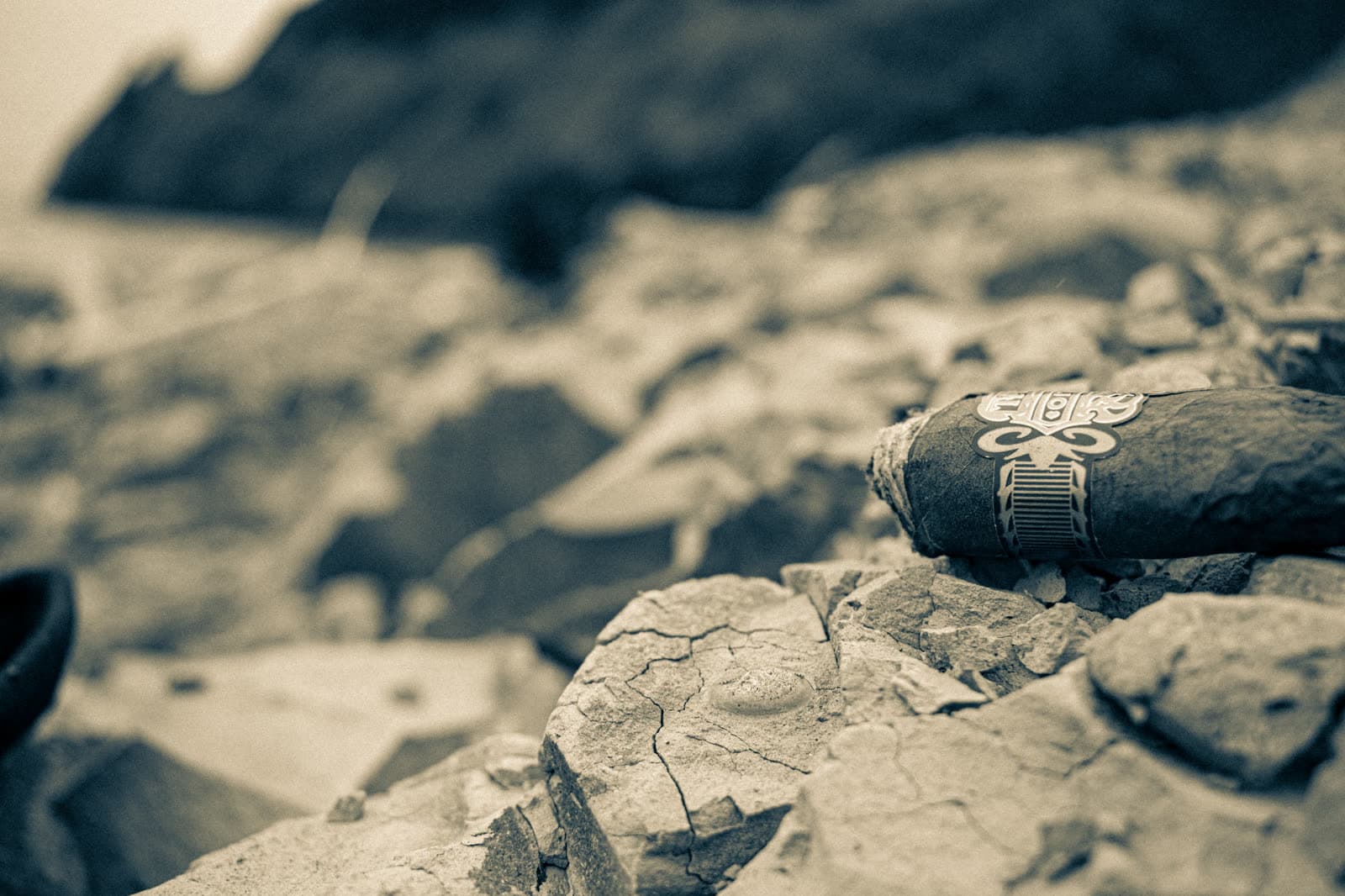 Portfolio photograph 4