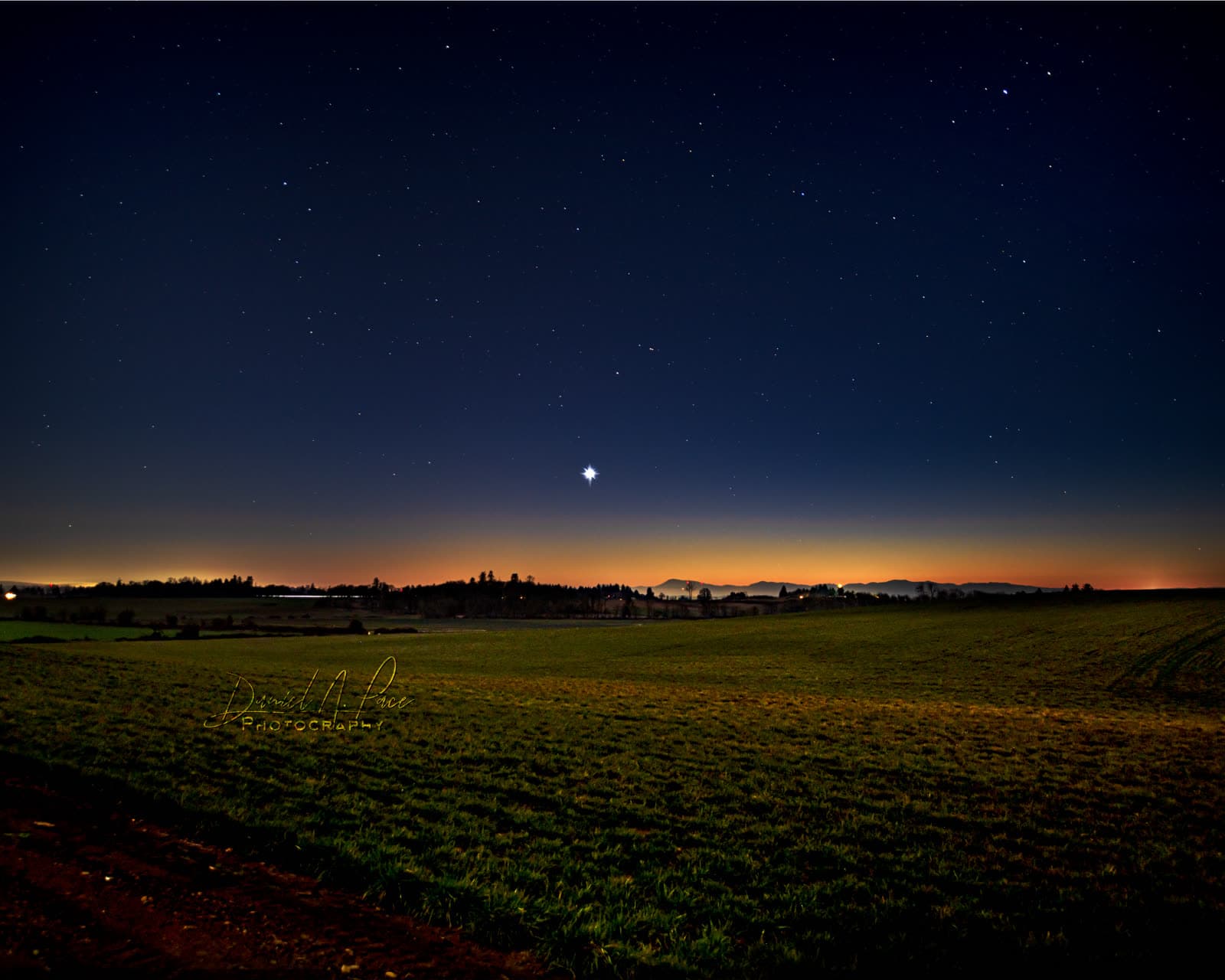 Portfolio photograph 84