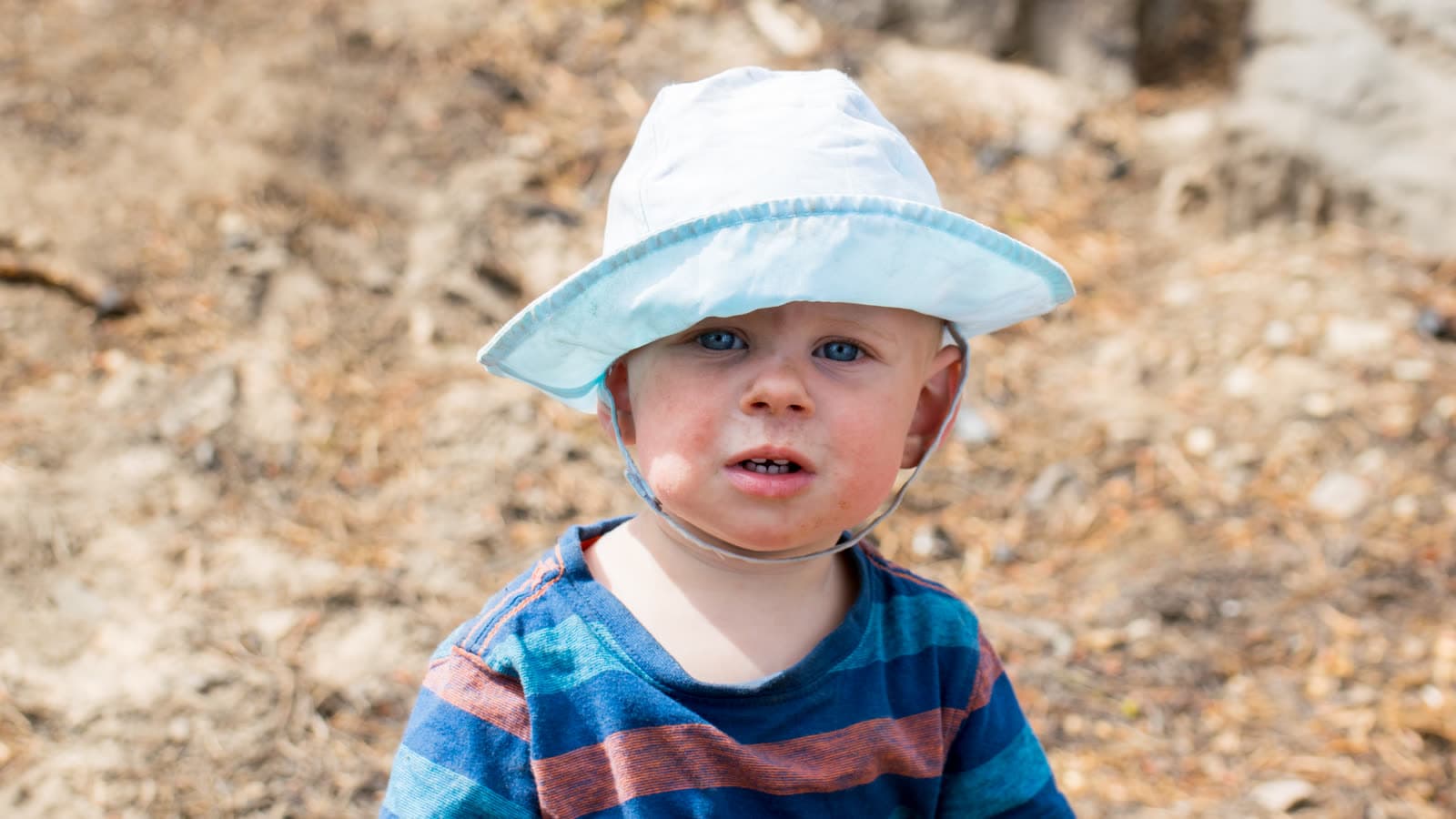 Portfolio photograph 37