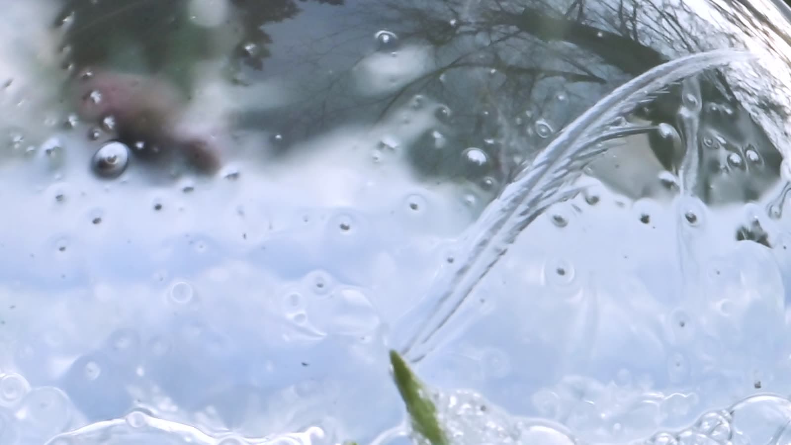 Portfolio film excerpt 17