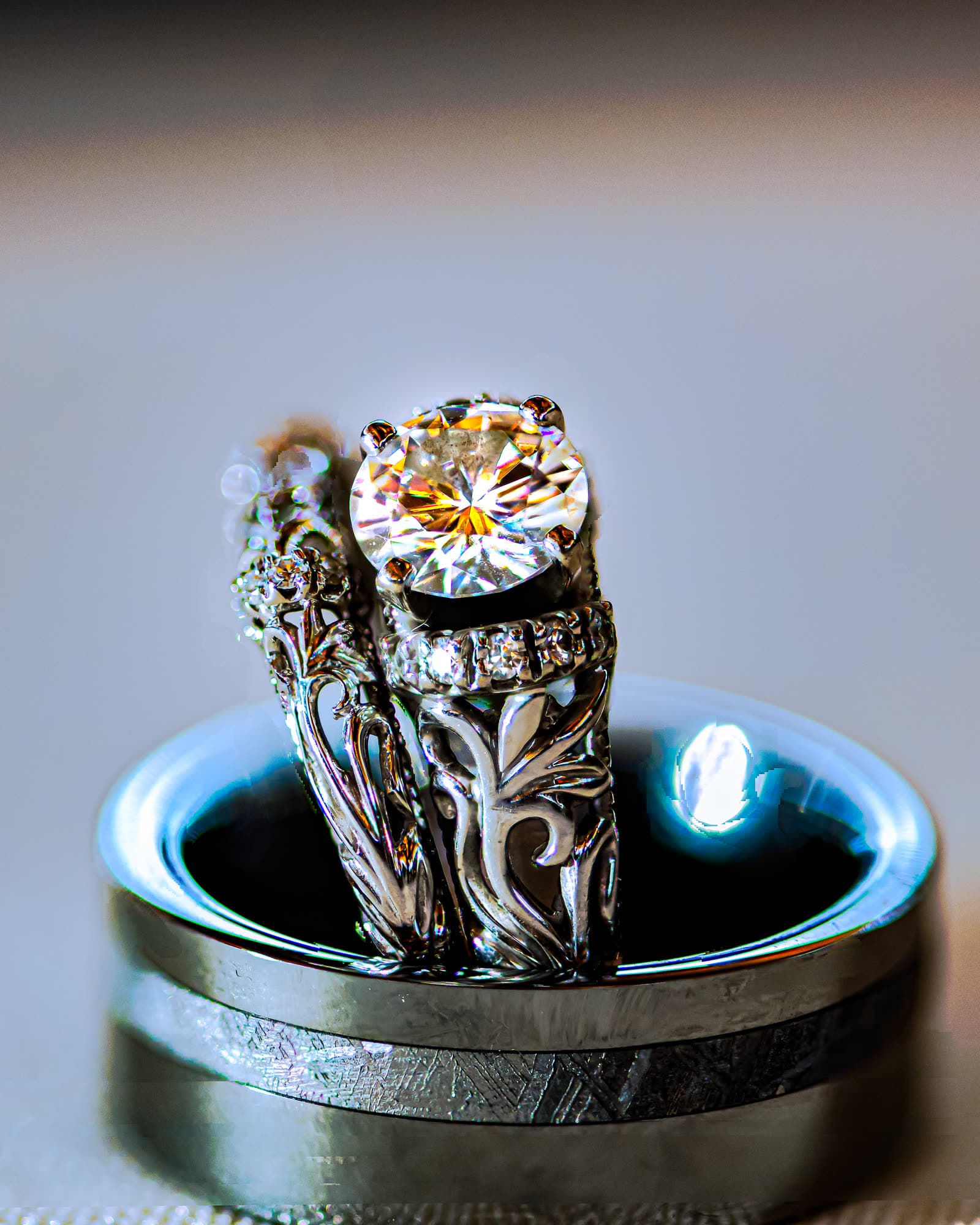 Portfolio photograph 71