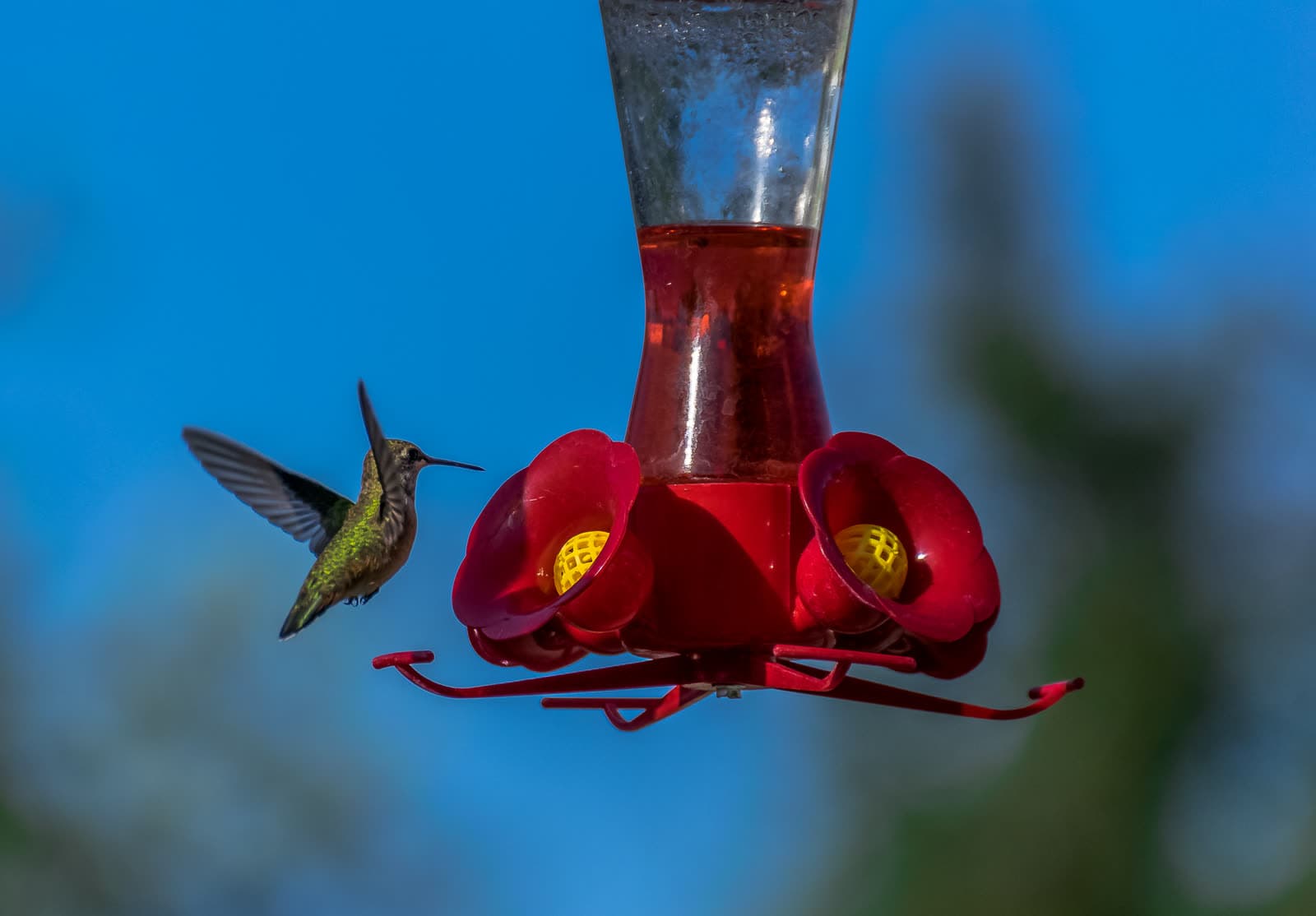 Portfolio photograph 34